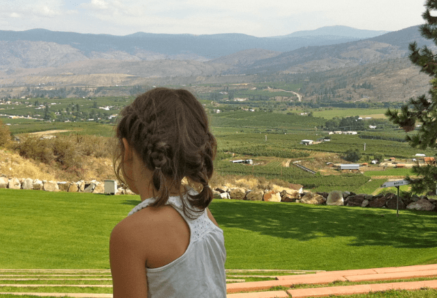 tinhorn creek winery with kids tinhorn creek winery with kids