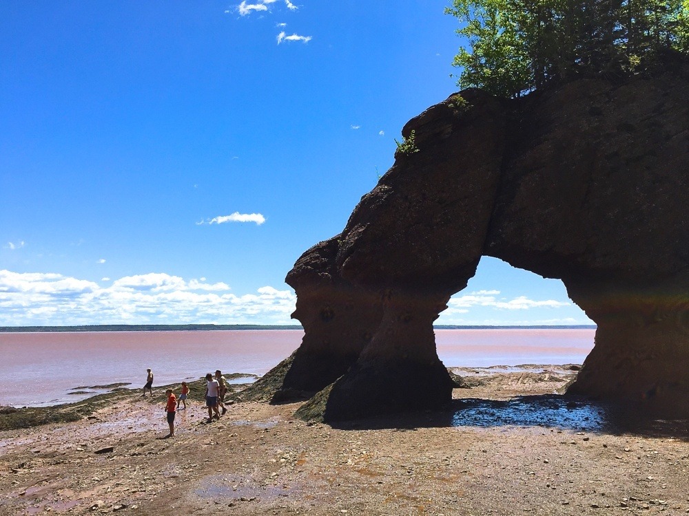 Moncton with Kids Hopewell Rocks, New Brunswick
